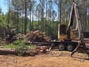 2015 Tigercat 234 Image