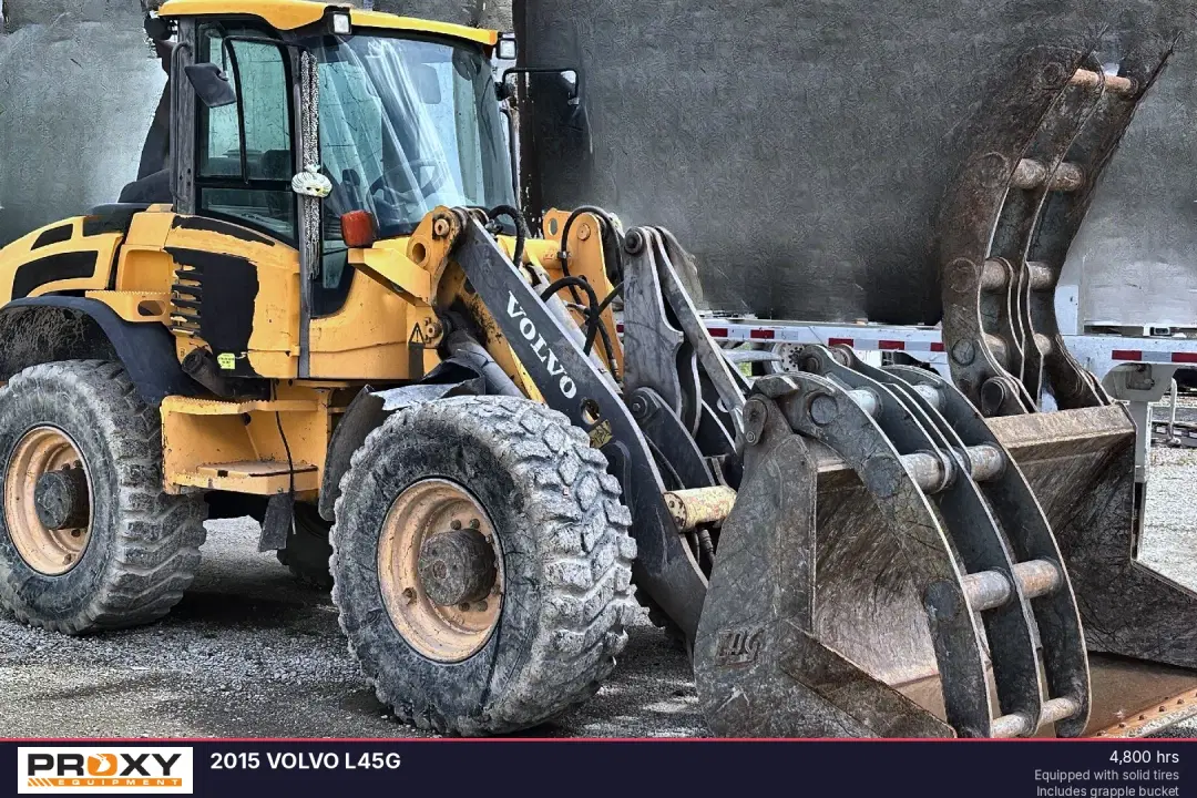 Image of Volvo L45G Primary image