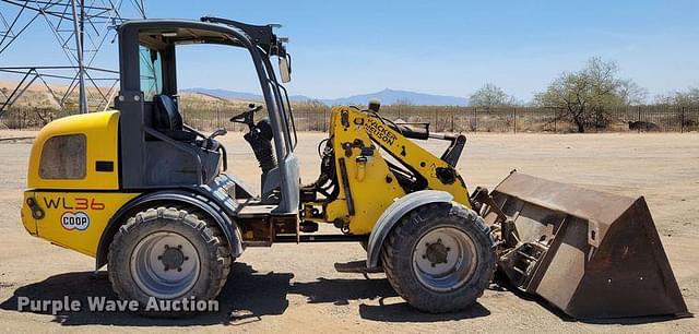 Image of Wacker Neuson WL36 equipment image 3