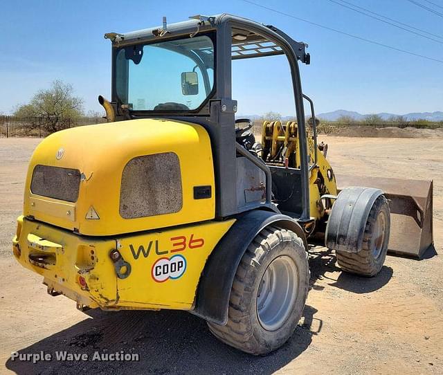 Image of Wacker Neuson WL36 equipment image 4
