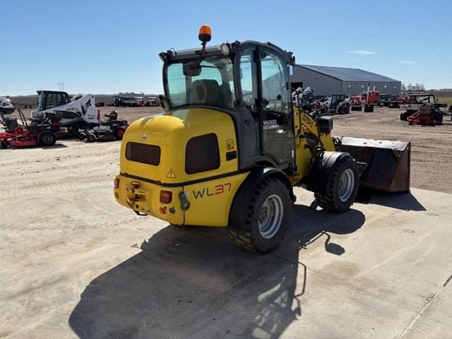 Image of Wacker Neuson WL37 equipment image 1