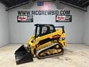 2016 Caterpillar 259D Image