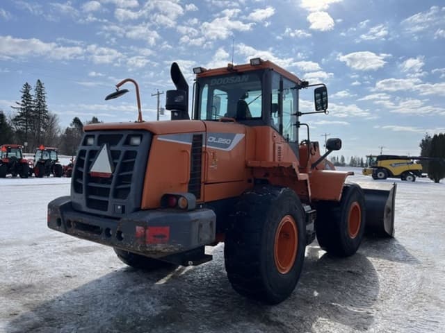 Image of  Doosan DL250-5 equipment image 4