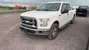 2016 Ford F-150 Image