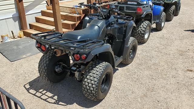 Image of Kawasaki Brute Force 300 equipment image 2