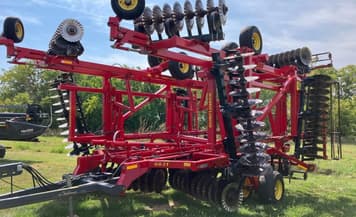 Main image Sunflower 6631