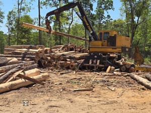 2016 Tigercat 234B Image