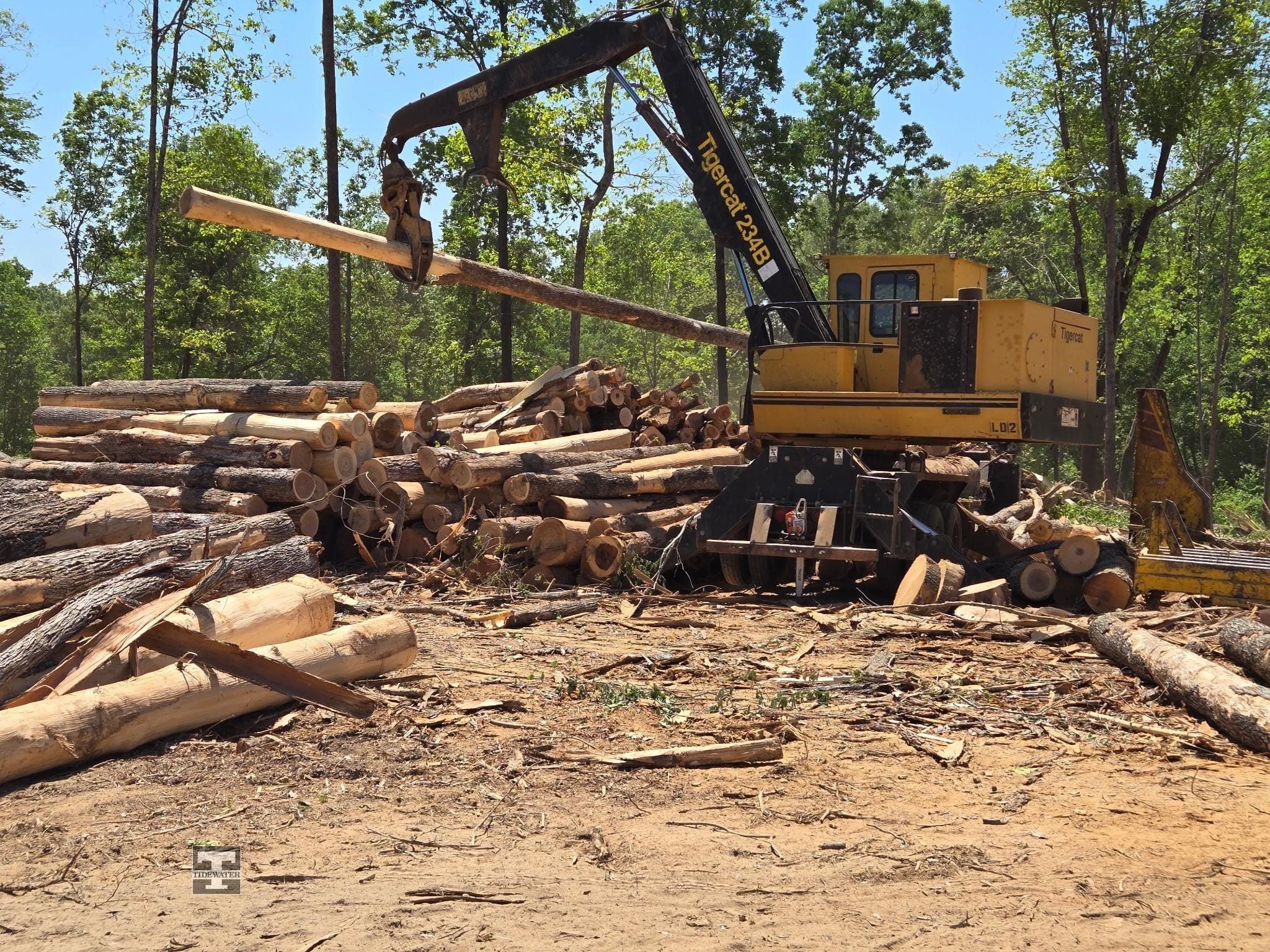 2016 Tigercat 234B Equipment Image0