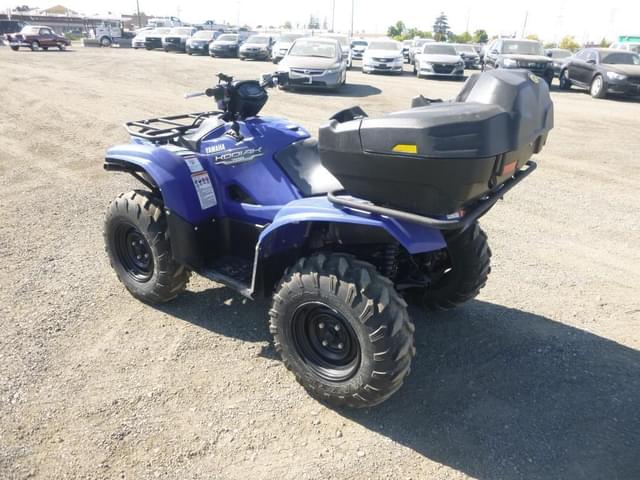 Image of Yamaha Kodiak 700 equipment image 3