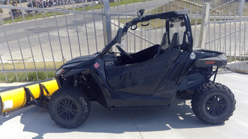 Main image Arctic Cat Wildcat Trail LTD