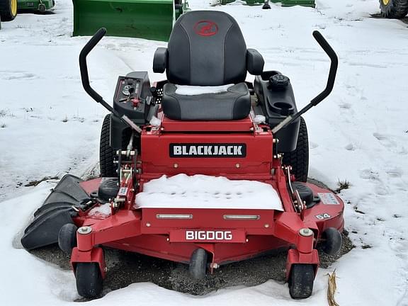 Image of Big Dog Black Jack equipment image 1