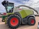 2017 CLAAS Jaguar 980 Image