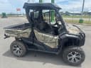 2017 Honda Pioneer 1000 Image