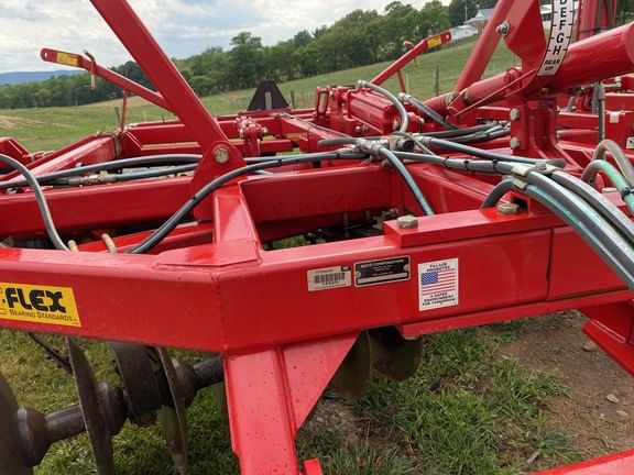 Main image Sunflower 1234