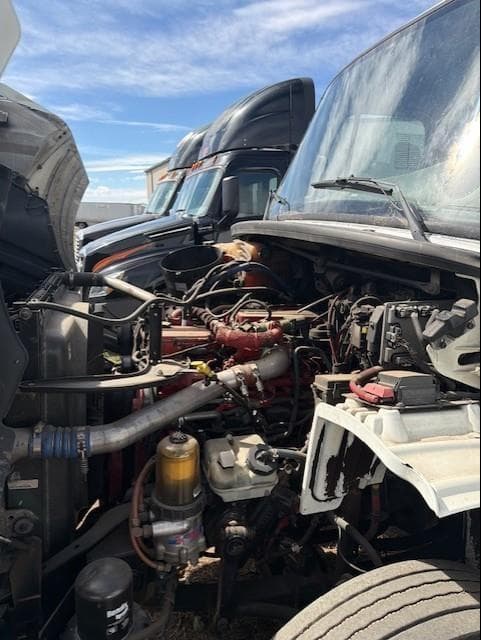 Image of Freightliner Cascadia 126 equipment image 4