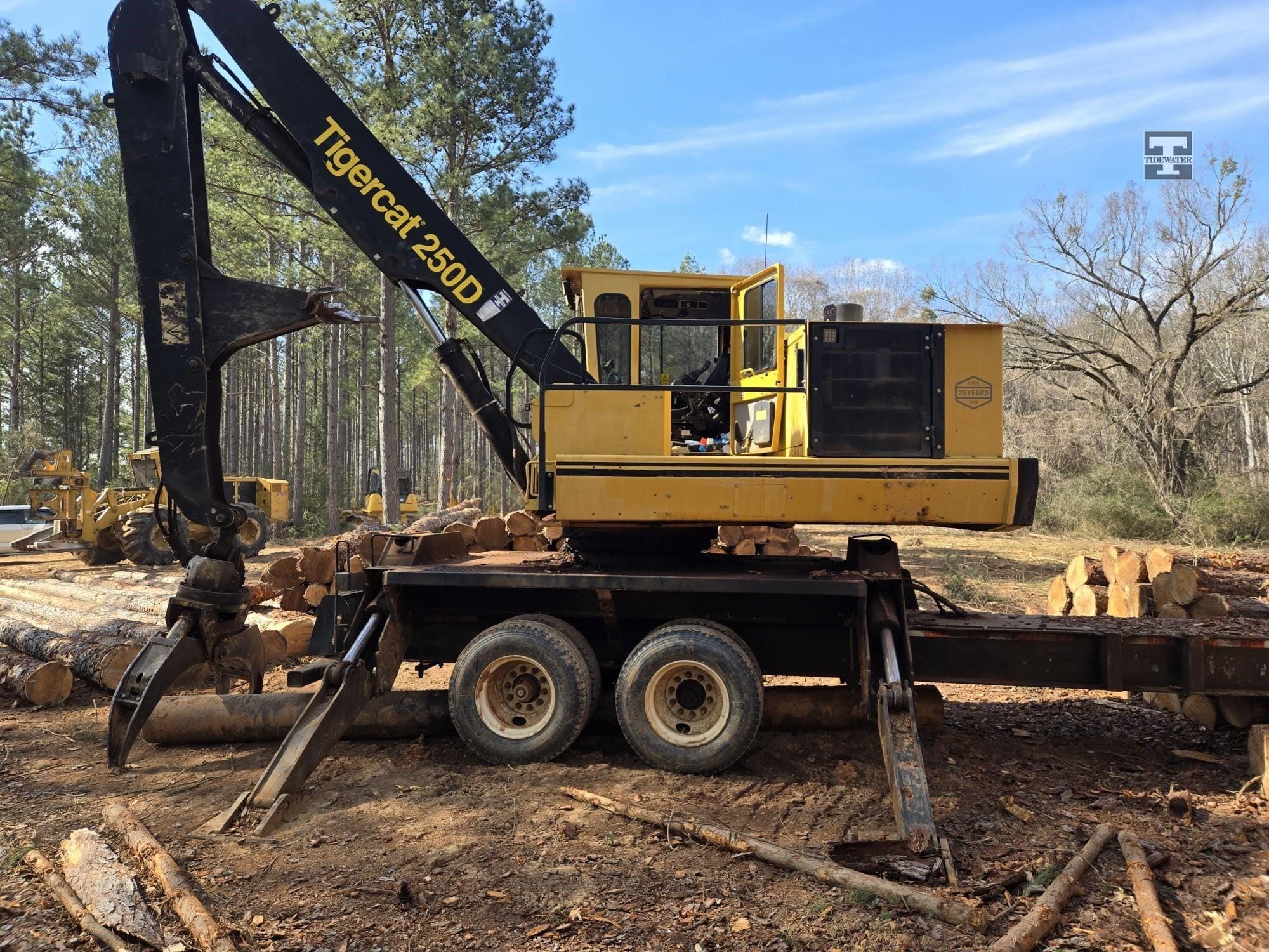 2018 Tigercat 250D Equipment Image0