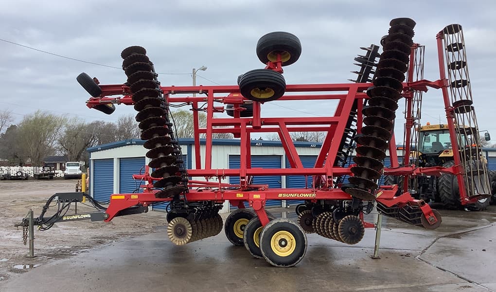 Image of Sunflower 6631-29 Primary image