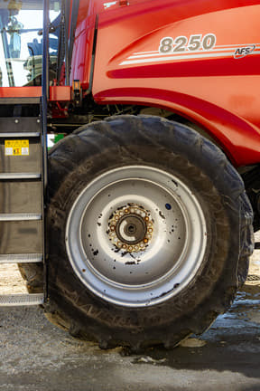 Image of Case IH 8250 equipment image 2