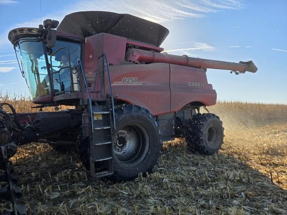 Image of Case IH 8250 Primary image