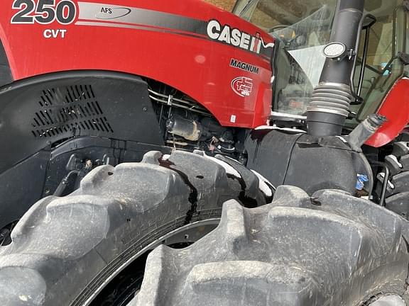 Image of Case IH Magnum 250 equipment image 2