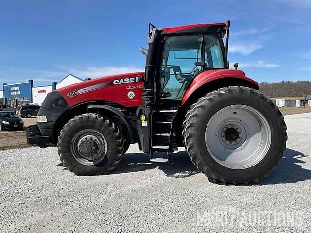 Image of Case IH Magnum 250 equipment image 1