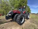 2019 Case IH Magnum 310 Image