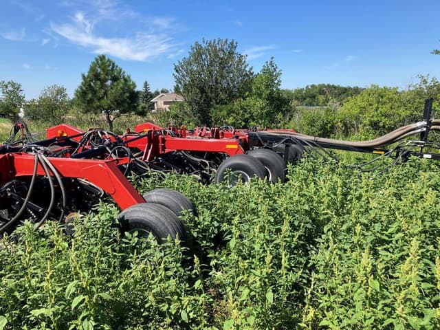 Image of Case IH Precision Disk 500 equipment image 4