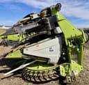 2019 CLAAS Orbis 750 Image