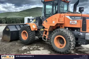 2019 Doosan DL250-5 Image