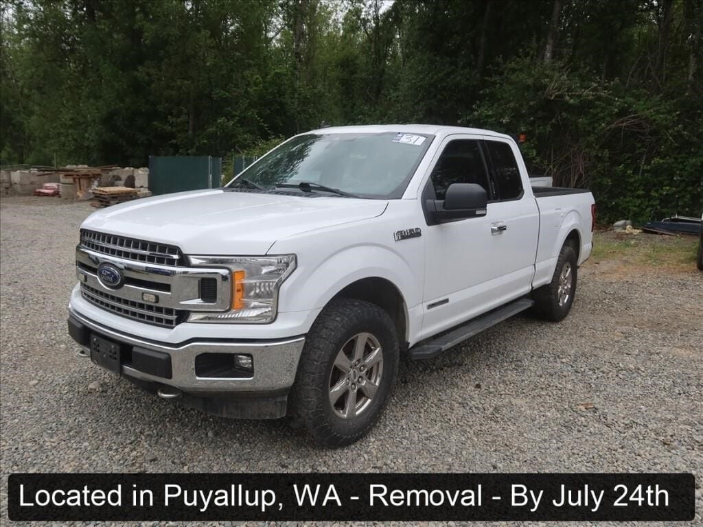 2019 Ford F-150 Equipment Image0