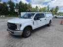 2019 Ford F-250 Image