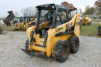 Main image Gehl R165