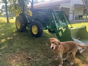 2019 John Deere 5065E Image