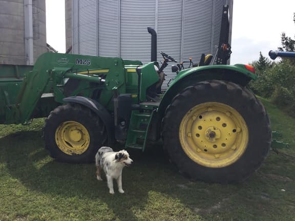 Image of John Deere 6130M equipment image 3