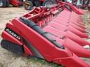 2020 Case IH 4412F Image