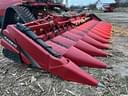 2020 Case IH 4412F Image