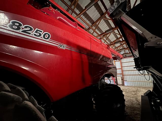 Image of Case IH 8250 equipment image 2