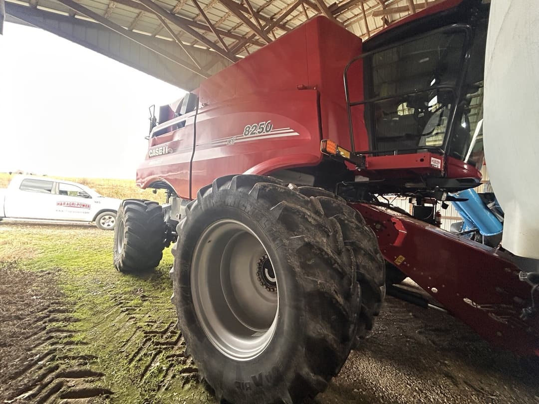 Image of Case IH 8250 Primary image