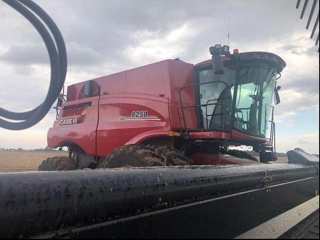 Image of Case IH 8250 equipment image 2