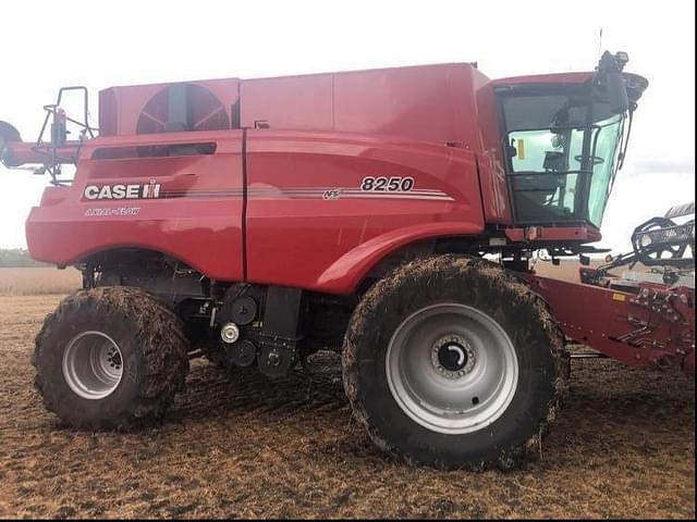 Image of Case IH 8250 equipment image 1