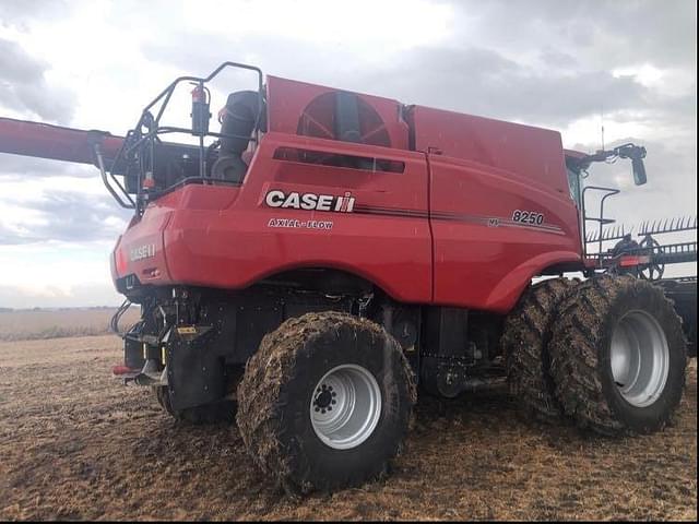 Image of Case IH 8250 equipment image 3