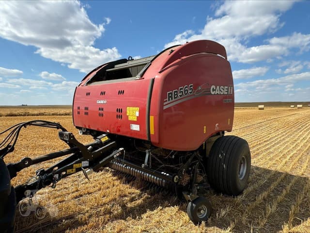 Image of Case IH RB565 equipment image 2