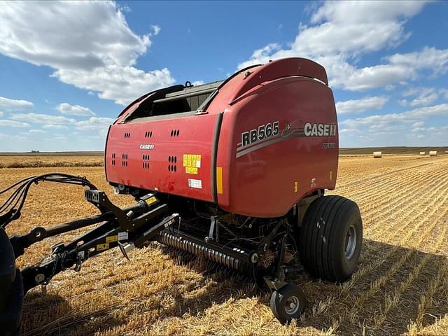 Image of Case IH RB565 equipment image 2