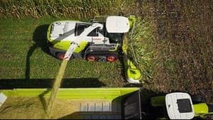 2020 CLAAS Orbis 750 Image
