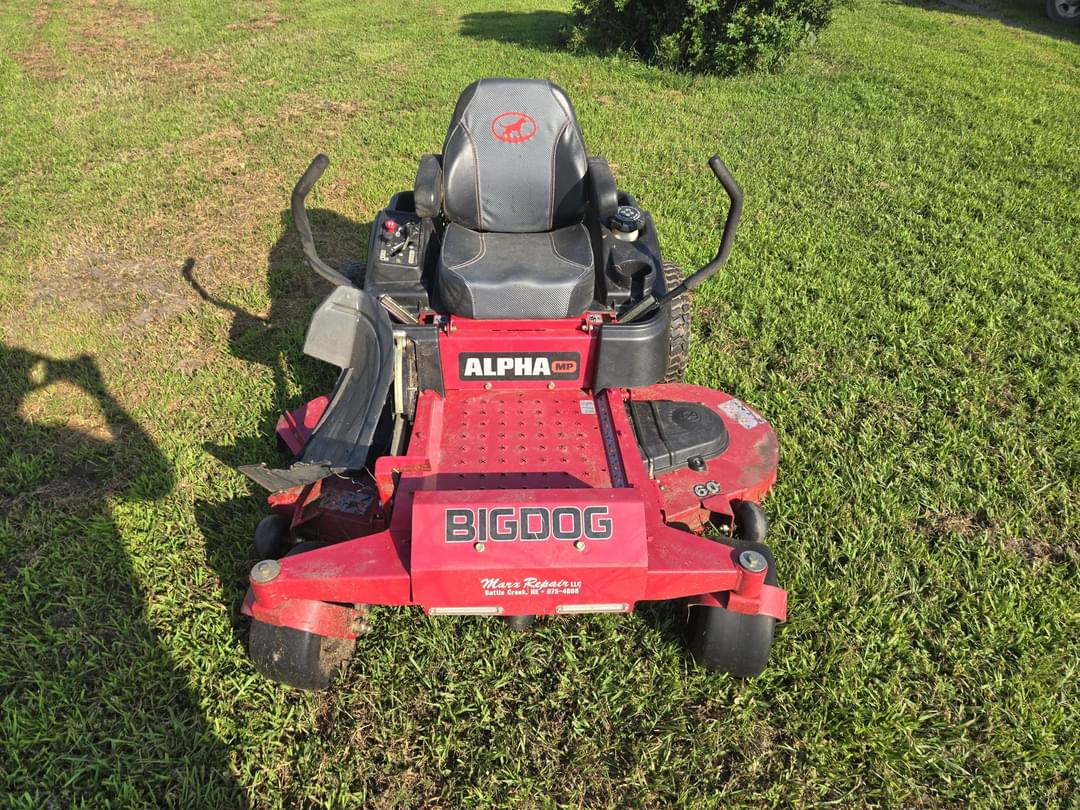 Image of Big Dog Alpha MP Primary image