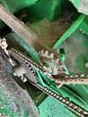 Thumbnail image John Deere 560M Silage 46