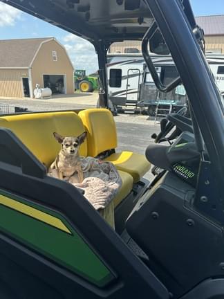 Image of John Deere XUV 835M equipment image 3