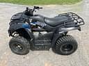 2020 Kawasaki Brute Force 300 Image