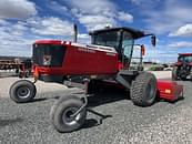 Thumbnail image Massey Ferguson WR9980 5