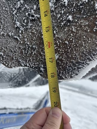 Image of Norwood HSD4000 equipment image 4